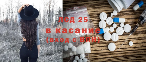 мдпв Лагань