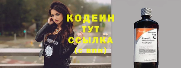 крисы Алагир